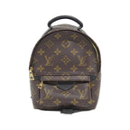 Louis Vuitton Monogram Palm Springs Backpack PM