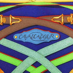 Hermes Cavalcadour Voltigeur Carre 42 Petit Scarf — view 5