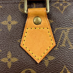 Louis Vuitton Speedy 25 Handbag Monogram Brown — view 4