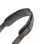 Louis Vuitton Damier Amazon Shoulder — view 6