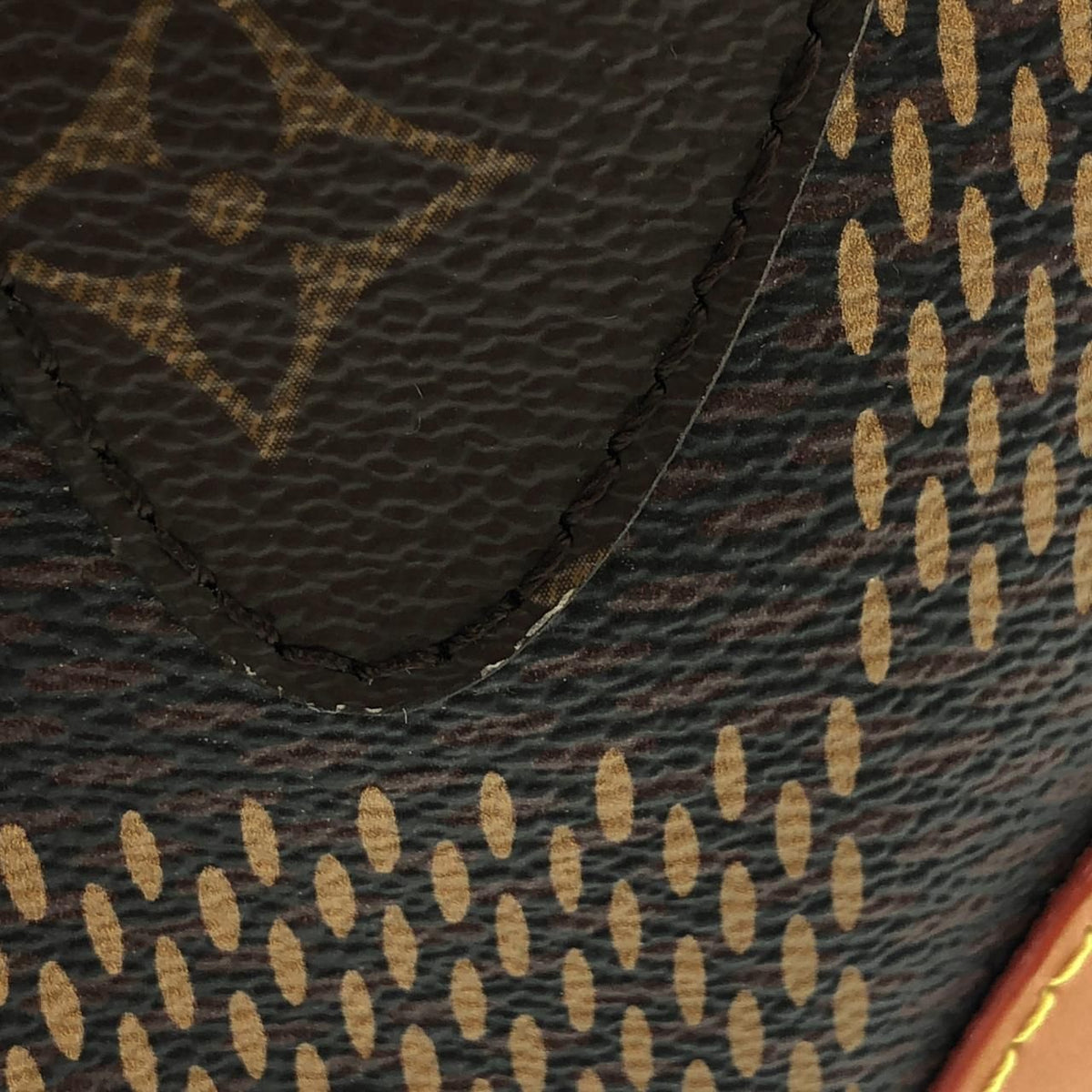 Louis Vuitton Damier Giant Amazon Sling — view 5