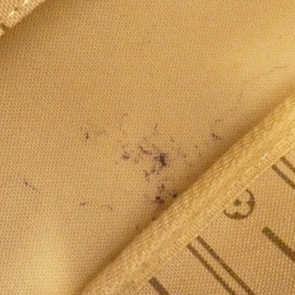 Louis Vuitton Monogram Neverfull PM — view 8
