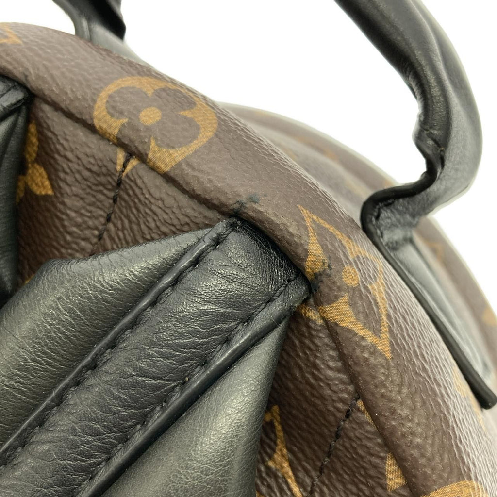 Louis Vuitton Monogram Palm Springs Backpack PM — view 4