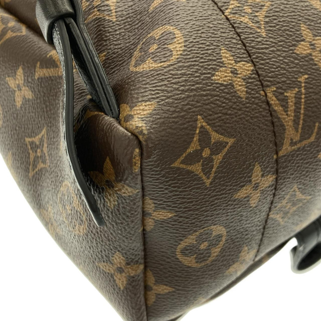 Louis Vuitton Monogram Palm Springs Backpack PM — view 3