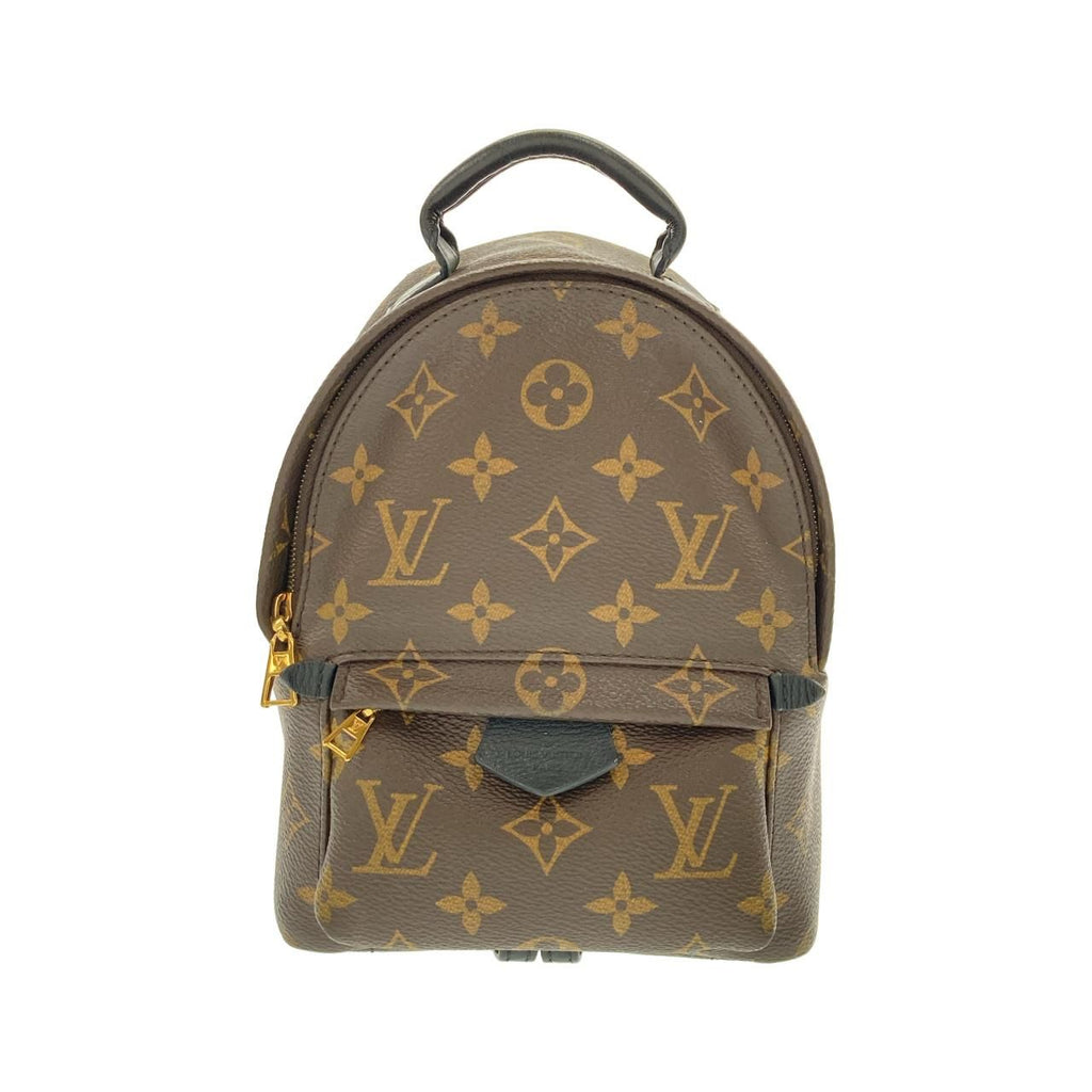 Louis Vuitton Monogram Palm Spring Backpack Mini