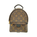 Louis Vuitton Monogram Palm Spring Backpack Mini