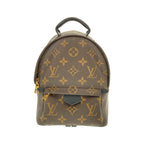 Louis Vuitton Monogram Palm Spring Backpack Mini