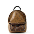 Louis Vuitton Backpack Monogram Reverse Palm Springs Mini Bag Black