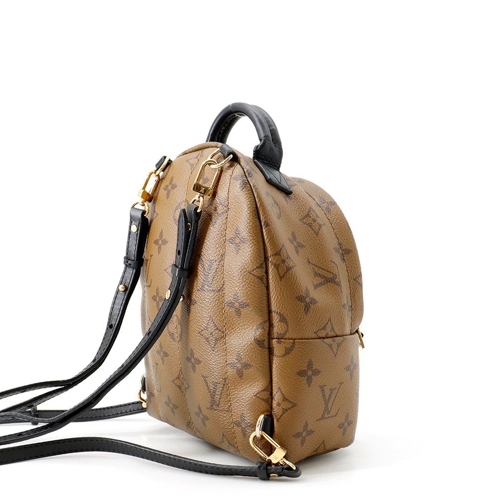 Louis Vuitton Backpack Monogram Reverse Palm Springs Mini Bag Black — view 3