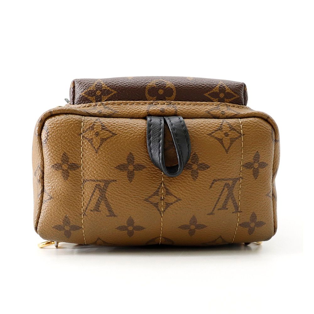 Louis Vuitton Backpack Monogram Reverse Palm Springs Mini Bag Black — view 4