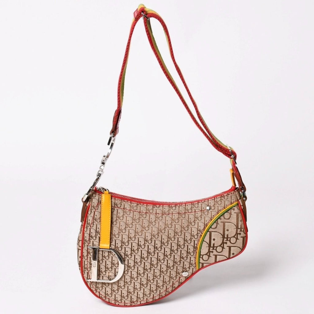 Dior Rasta Trotter Saddle Bag Galliano Era Color Silver