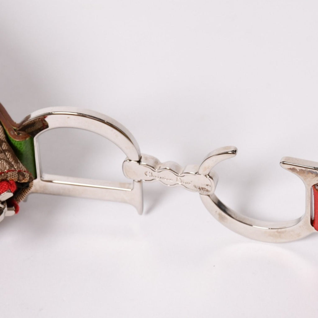 Dior Rasta Trotter Saddle Bag Galliano Era Color Silver — view 6