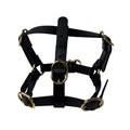 Gucci Interlocking Harness Dog Leather Pet Accessory