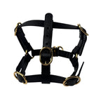 Gucci Interlocking Harness Dog Leather Pet Accessory