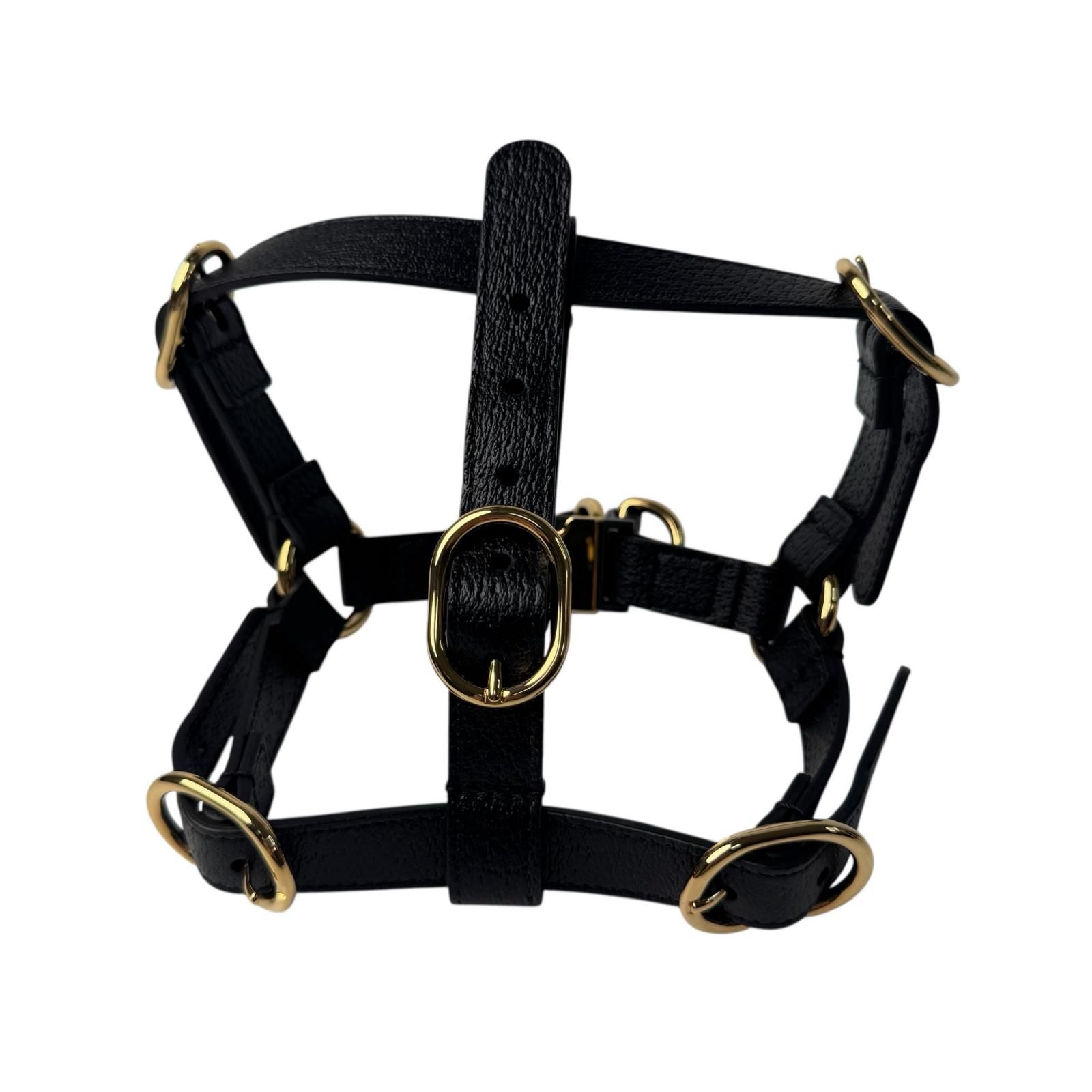 Gucci Interlocking Harness Dog Leather Pet Accessory