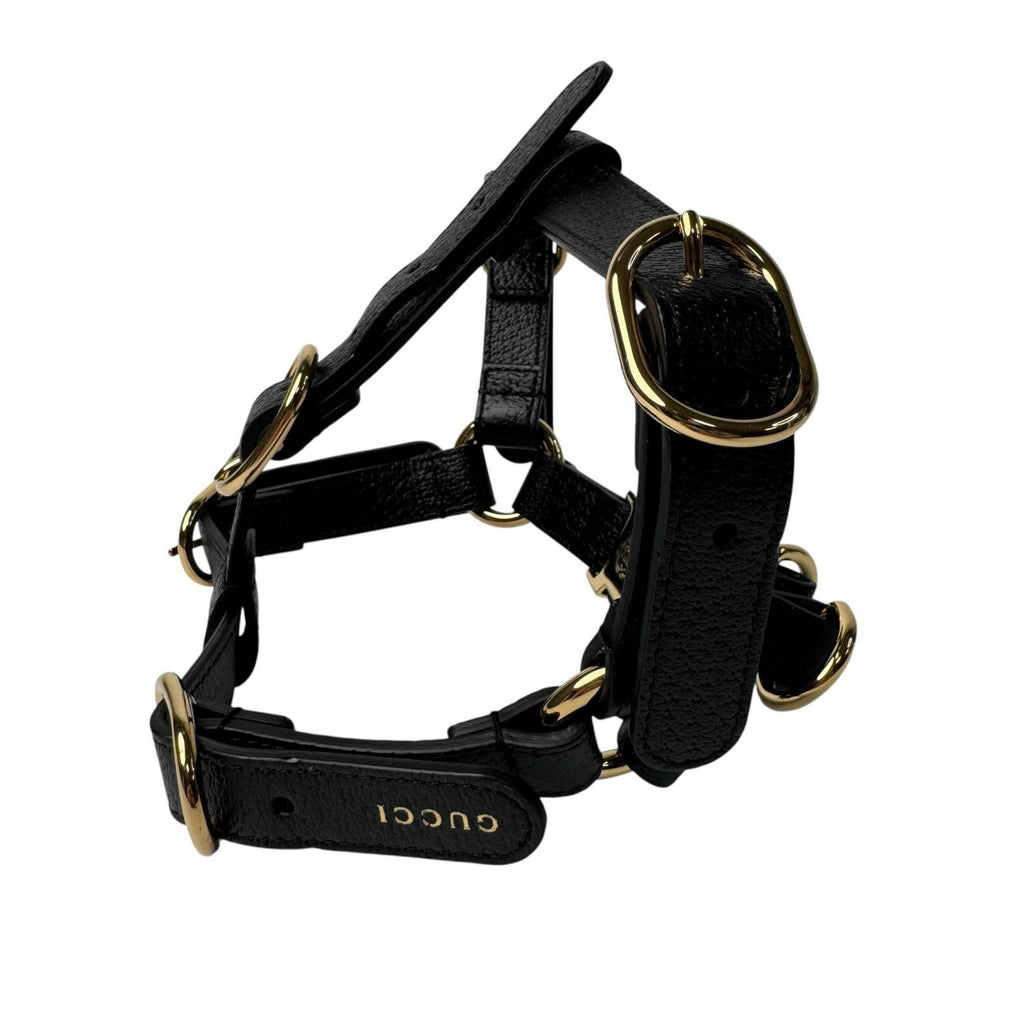 Gucci Interlocking Harness Dog Leather Pet Accessory — view 3