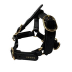 Gucci Interlocking Harness Dog Leather Pet Accessory — view 3