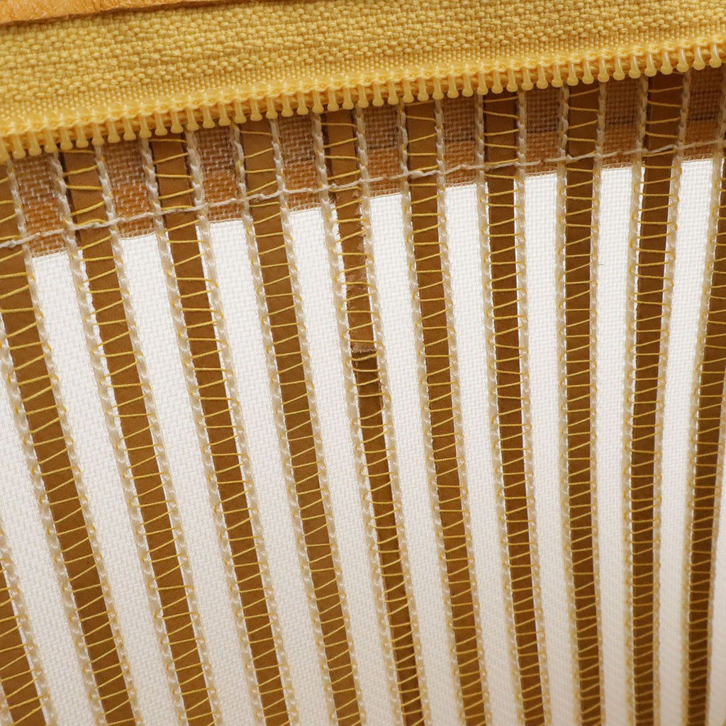 Loewe Anagram Pouch Makeup Clutch Striped Mesh Leather Master Gold — view 6