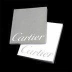 Cartier Pasha 38 Watch Date Silver Automatic Winding — view 2