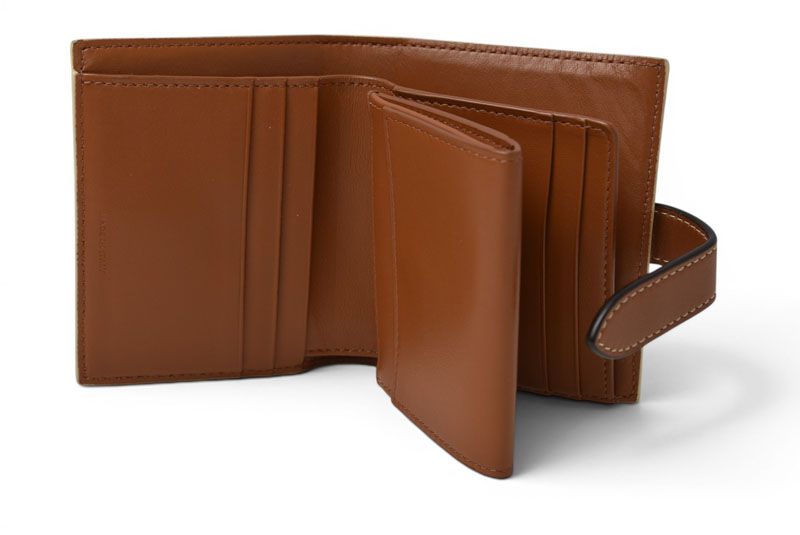 Celine Wallet Bifold Mini Triomphe Strap Ivory Brown — view 8