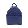 Gucci Backpack Blue
