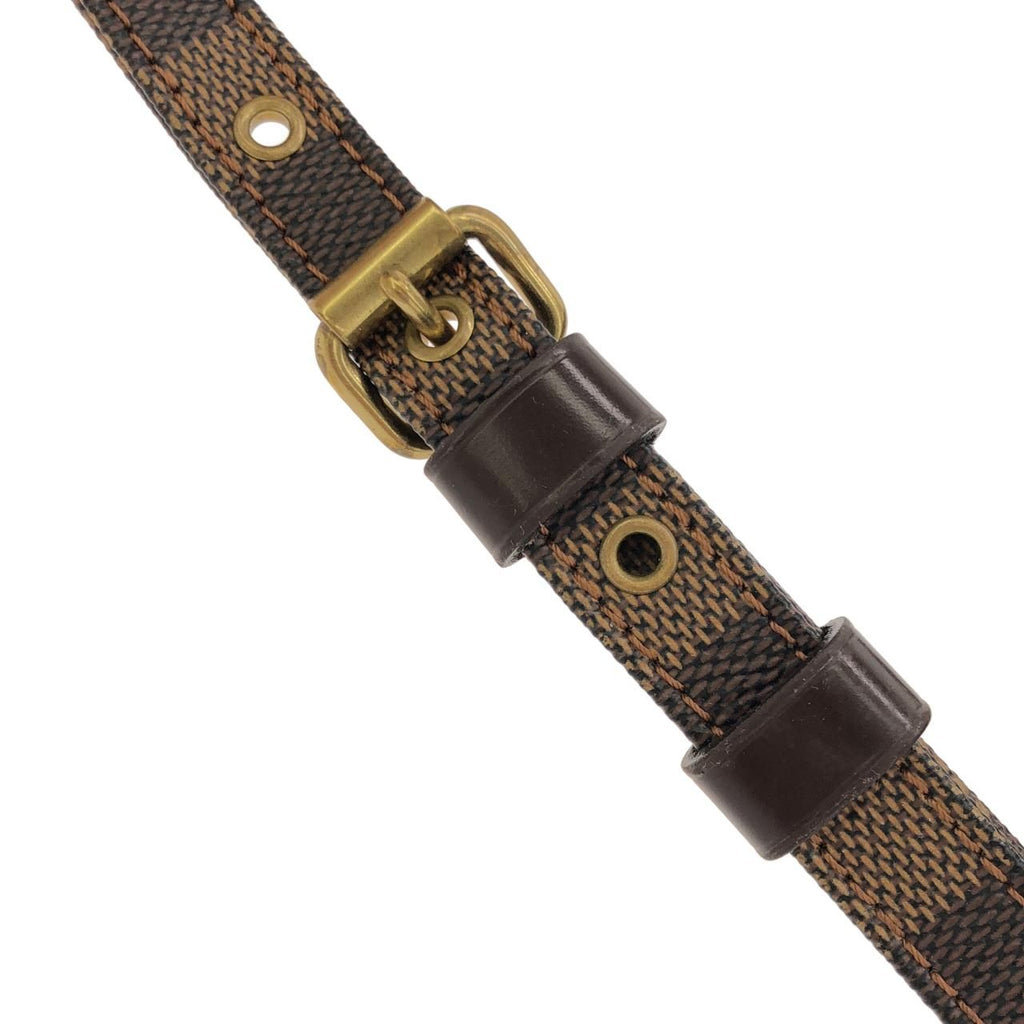 Louis Vuitton Damier Amazon Shoulder — view 7