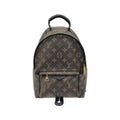 Louis Vuitton Monogram Palm Springs Backpack PM