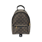 Louis Vuitton Monogram Palm Springs Backpack PM