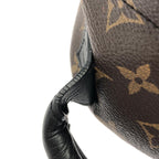 Louis Vuitton Monogram Palm Springs Backpack PM — view 4
