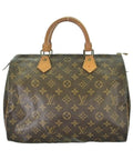 Louis Vuitton Handbag Brown