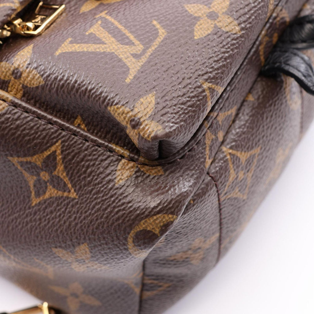 Louis Vuitton Backpack Palm Springs Mini Monogram Canvas Leather — view 6