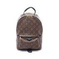 Louis Vuitton Backpack Palm Springs PM Monogram Canvas Leather