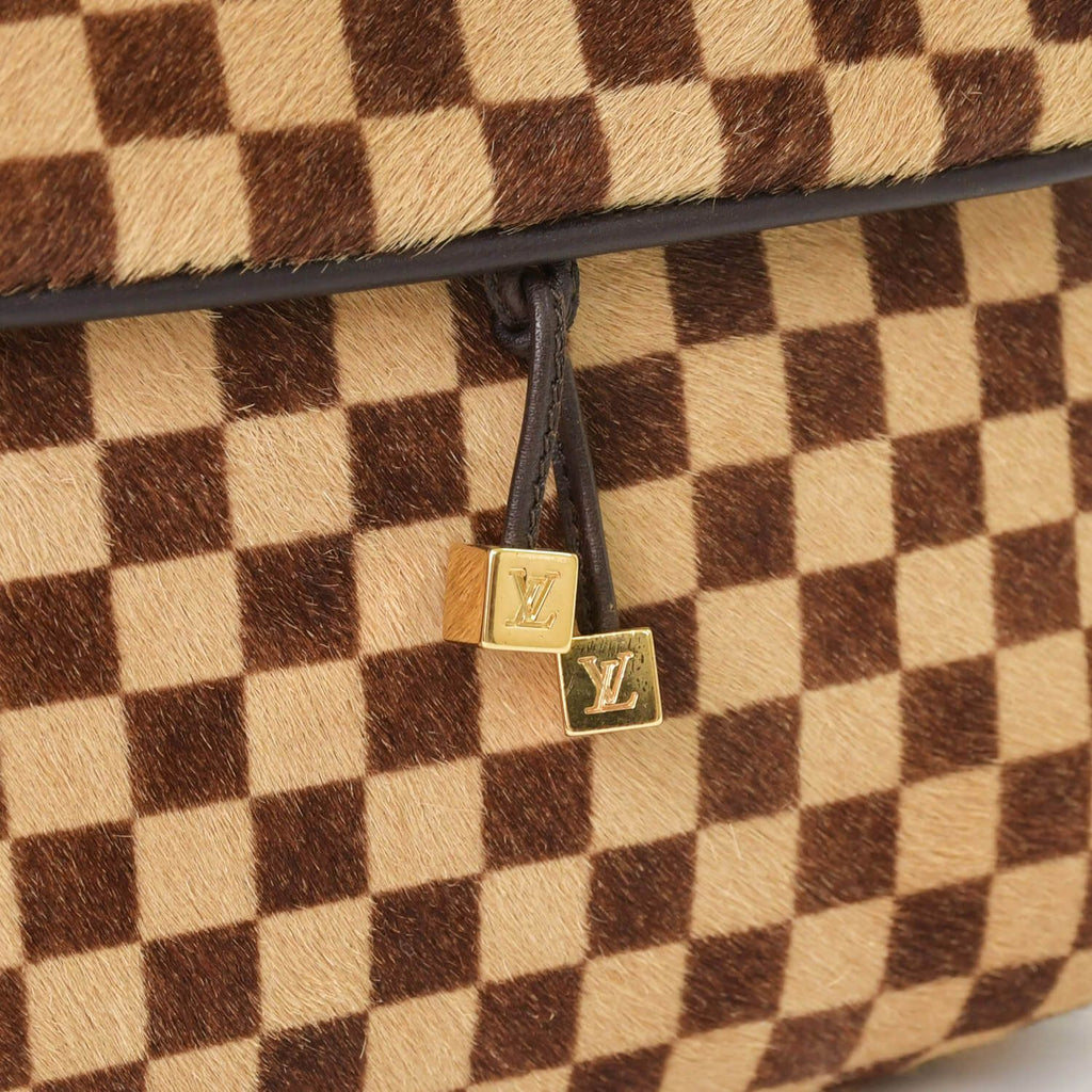 Louis Vuitton Damier Sauvage Gazelle Cross Calf Hair Brown Crossbody — view 6
