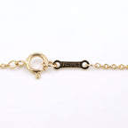 Tiffany & Co Necklace Apple 18k — view 4