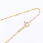 Tiffany & Co Necklace Apple 18k — view 5