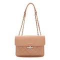 Chanel Half CC Logo Double Chain Shoulder Bag Leather Pink Silver