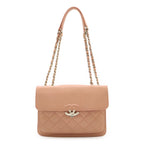 Chanel Half CC Logo Double Chain Shoulder Bag Leather Pink Silver