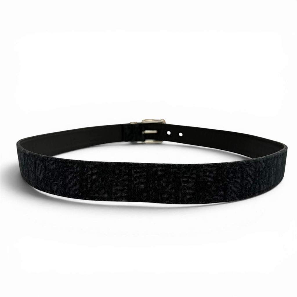 Dior Homme Canvas Leather Oblique Pin Buckle Belt Black Silver — view 3