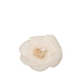 Chanel Camellia Brooch Corsage Ivory Fabric