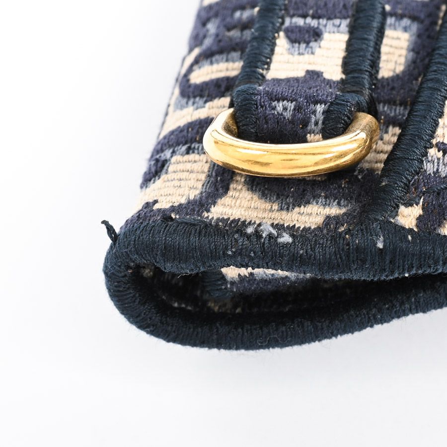 Dior Belt Bag Saddle Flat Pouch — view 7