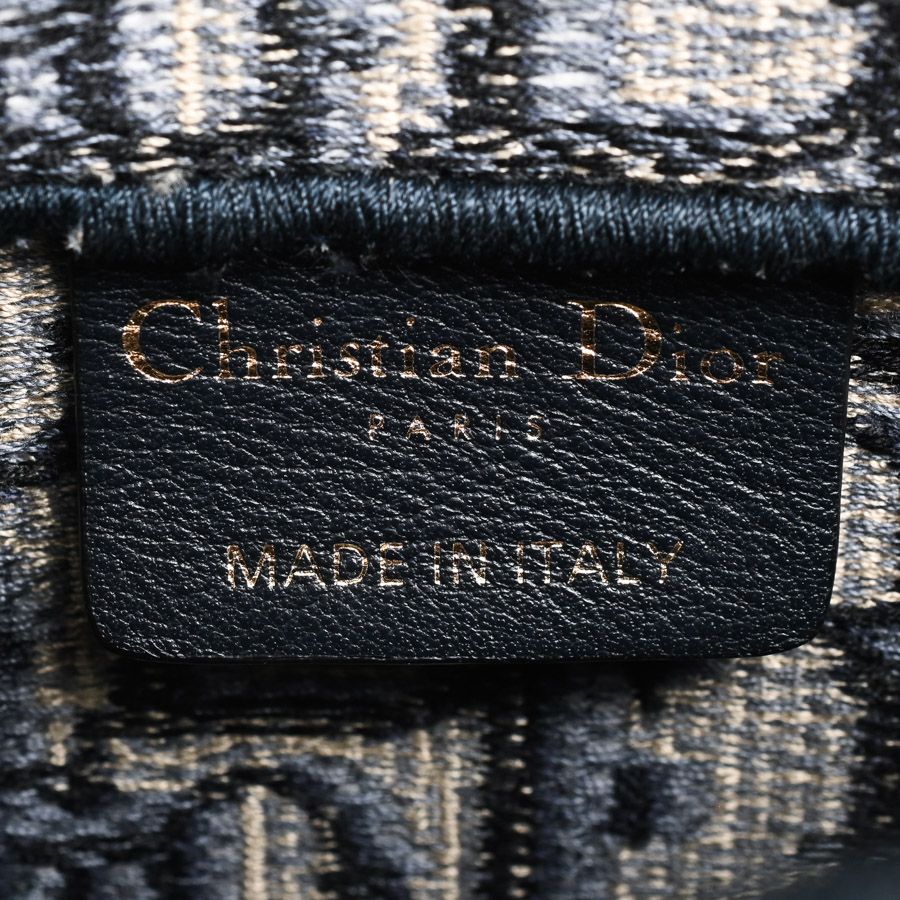 Dior Belt Bag Saddle Flat Pouch — view 6