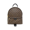 Louis Vuitton Monogram Palm Springs Backpack