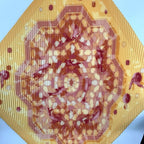 Hermes Sous les Orangers Under the Orange Tree Pleats Scarf