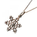 Tiffany & Co Necklace Snowflake Silver