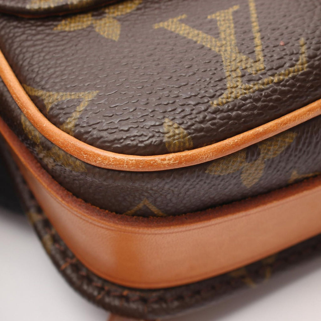 Louis Vuitton Shoulder Bag Cartouchiere PM Canvas Leather — view 8