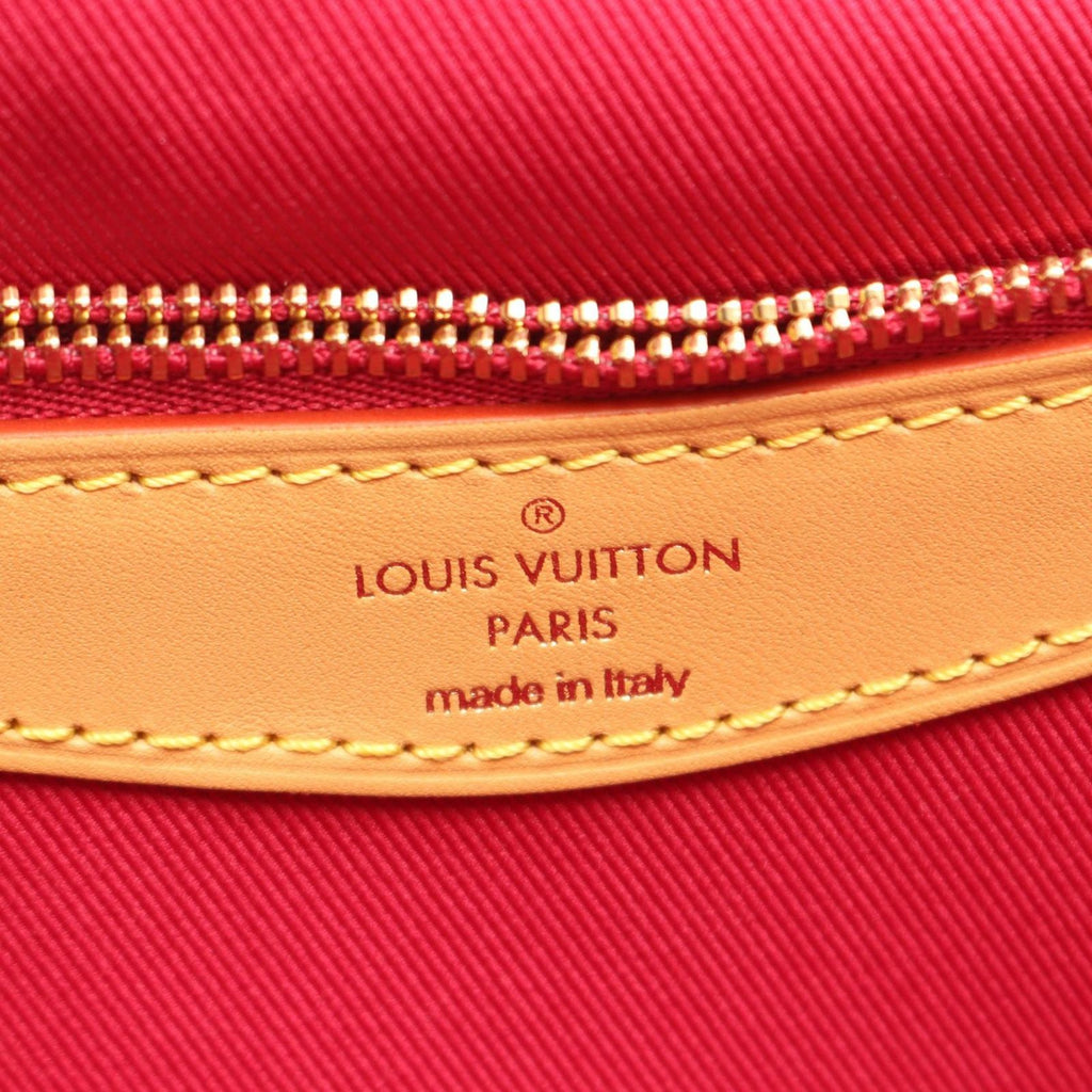 Louis Vuitton Shoulder Bag Diane NM PM Monogram Fuchsia 2-Way Canvas Leather — view 4