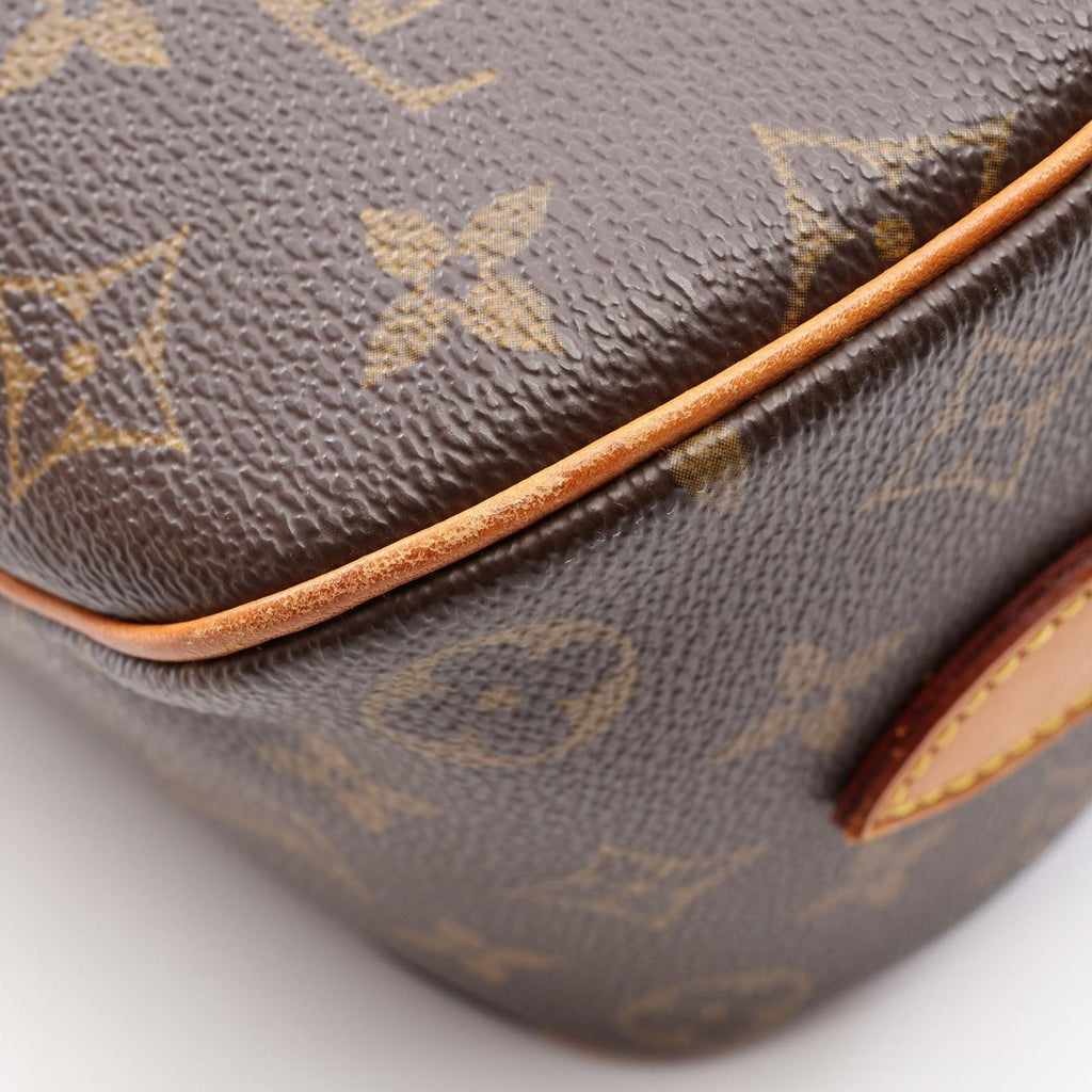 Louis Vuitton Shoulder Bag Blois Canvas Leather — view 8