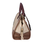 Loewe Beige Tricolor Amazona 28 Handbag — view 4
