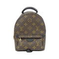 Louis Vuitton Monogram Palm Springs Backpack Mini