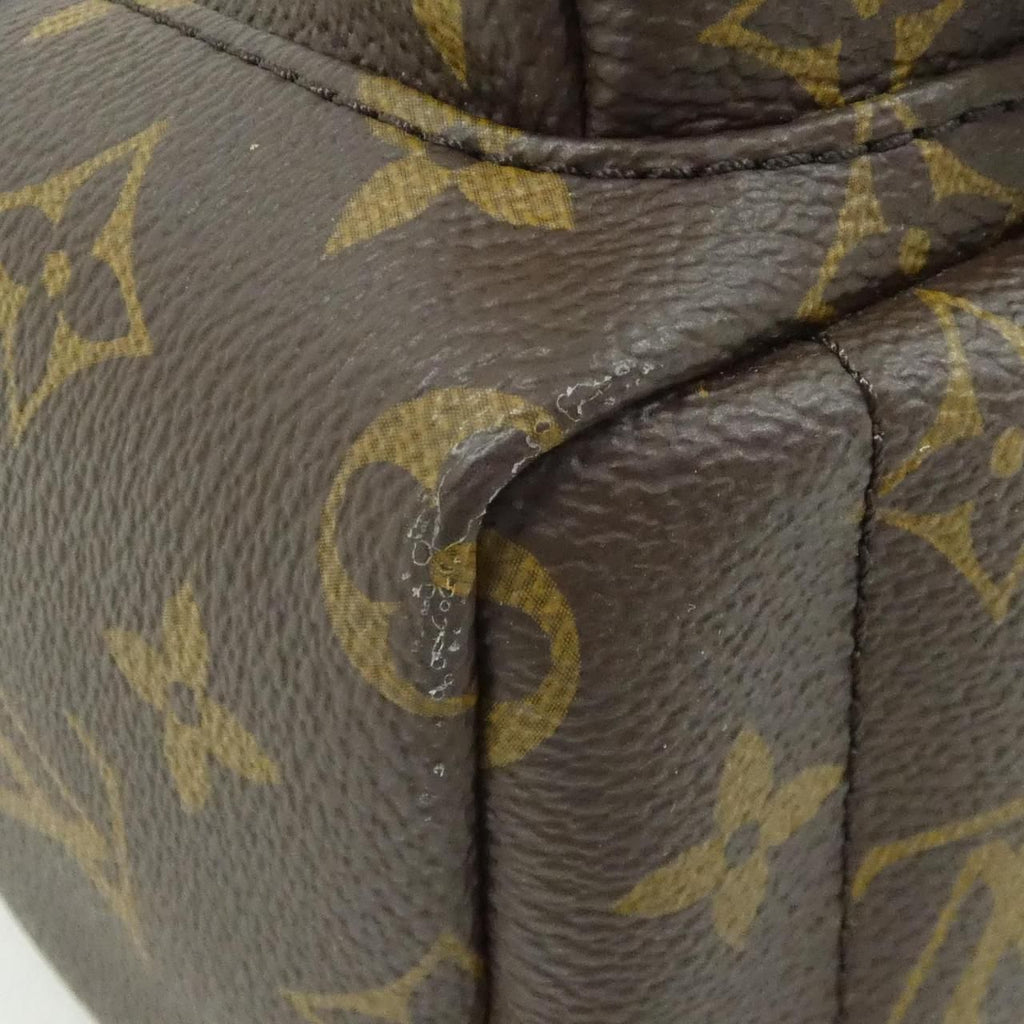 Louis Vuitton Monogram Palm Springs Backpack Mini — view 3
